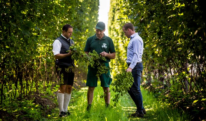 hop growers breweries
